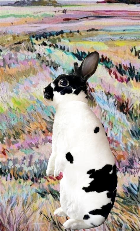 Image result for B-Rabbit Art