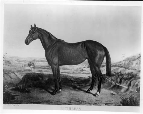 Seventeen Fun Facts About the 2026 Belmont Stakes | America's Best Racing