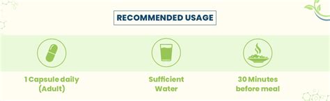 Buy Leeford Lee-Biotic Forte Probiotic and Prebiotic Supplement Delayed ...