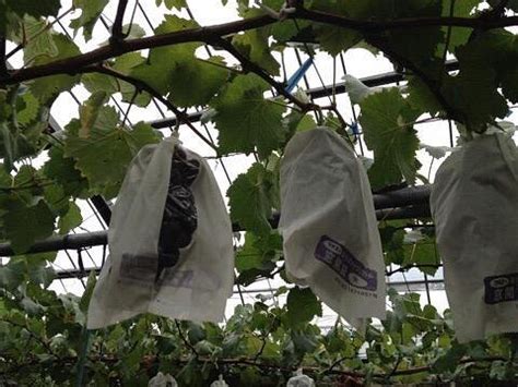 COUPLES (2026) All You Need to Know BEFORE You Go (with Photos ...