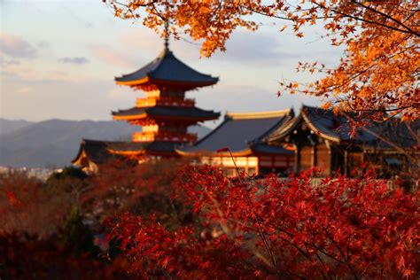 Where To Visit In Kyoto Japan