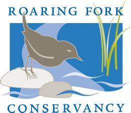 Image result for RFC Test Logo