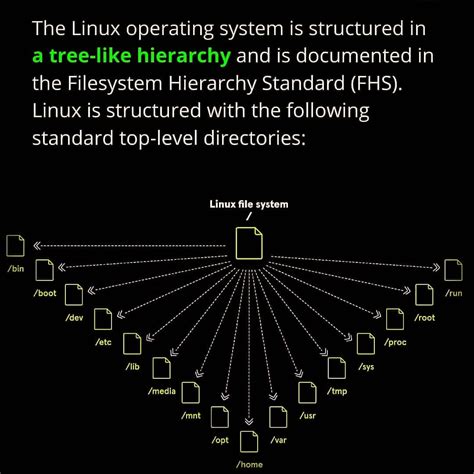 Image result for Linux File Hierarchy