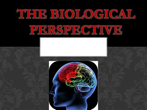 Biological Perspective Examples 的图像结果