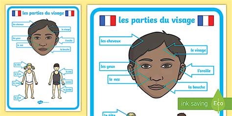 French Body Parts Posters