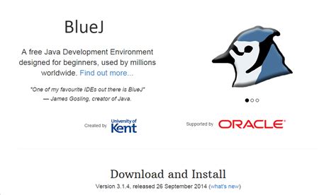 Java Programming App 的图像结果