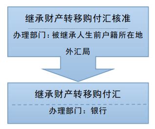 继承财产转移购付汇核准，领事馆文件公证认证 | 办理中国签证