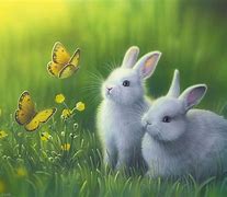 Image result for Baby Bunny Digital Art