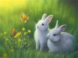 Image result for Bunny Rabbit Wall Art