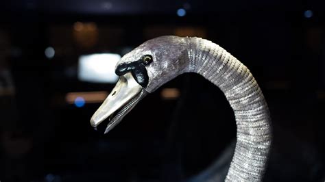 Science Museum Robots 的图像结果