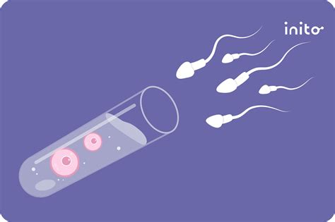 IVF Process Step by Step 的图像结果