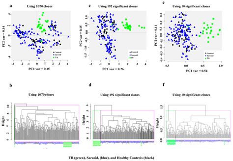 Novel T7 Phage Display Library Detects Classifiers for Active ...