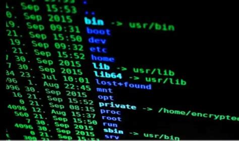 Top 10 world news: G7 warns Russia over Ukraine, tornado survivors tell ...