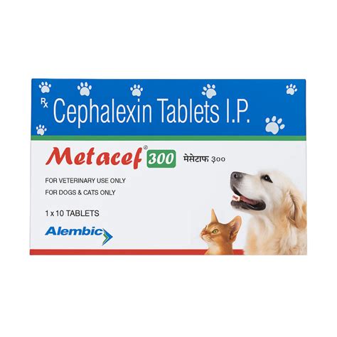 Buy Alembic Metacef (Cephalexin) 300mg Tablets for Dogs and Cats online ...