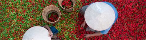 LRQA India – Assurance, Certification, Inspection, Training