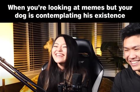 What is the meaning of life? : r/MxRMods