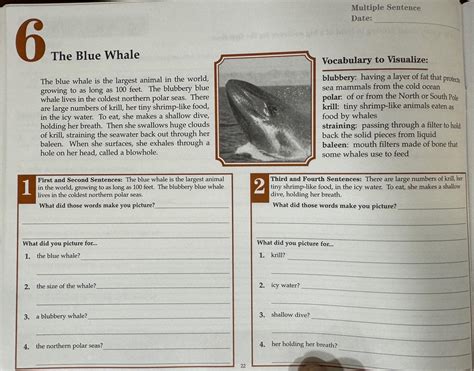 Visualizing and Verbalizing Workbook: Comprehension / Vocabulary ...