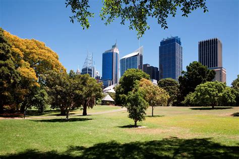 The Urban Land Queensland - Projecting Growth: The Future Population of ...