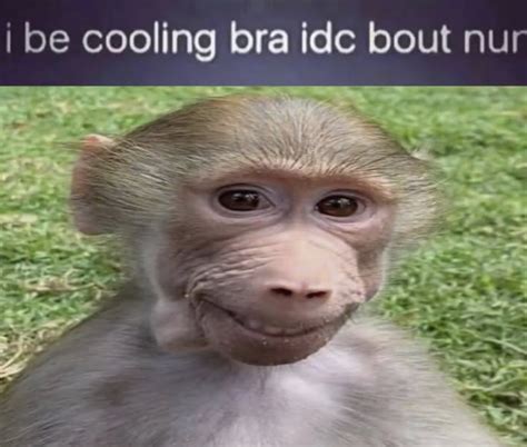 i be coolin bra idc bout nun | Kid Named Pubert | Know Your Meme
