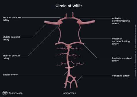 Image result for Program Flow for Lecture Sample