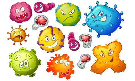 Rezultat imagine pentru Model Activity Class 8