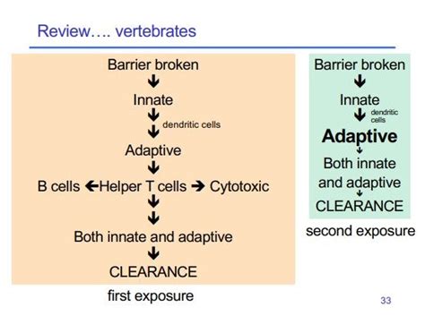 Image result for Adaptive Control System in Human Body