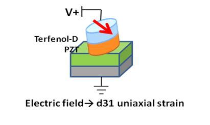 Multiferroics 的图像结果