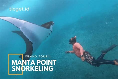 TICGET.ID (2026) All You Need to Know BEFORE You Go (with Photos ...