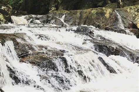 Sana Resort Official Website 2025 (with Prices) 9553537666 ...