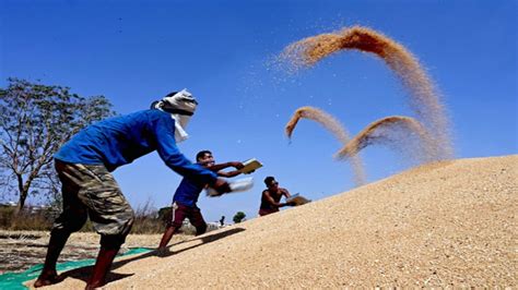 Farm bills 2020: Farmer groups denounce MSP announcement, terms it ...