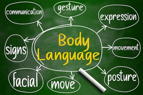 Body Language Mind Map 的图像结果