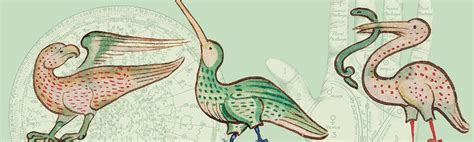 ISES SOLAR WORLD CONGRESS 2025, Centro de Eventos do Ceará, Fortaleza ...