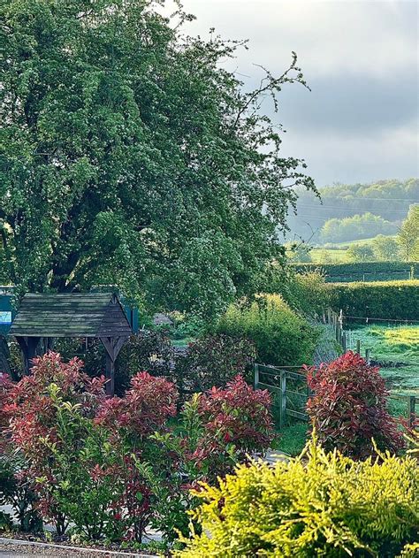 THE CHILTERN LODGES AT UPPER FARM HENTON (Chinnor) - Lodging Reviews ...