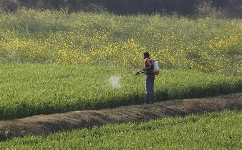 DDT declining, other POPs rising, health risks. UPSC