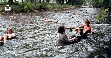 Swim 的图像结果