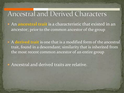 Phylogeny & development | PPT