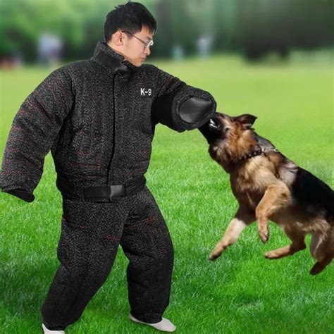 How to Reverse Array in Java 的图像结果
