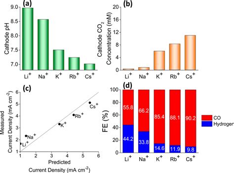 Image result for Concentration Gradient in Cathode
