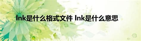 lnk是什么格式文件 lnk是什么意思_软件资讯网