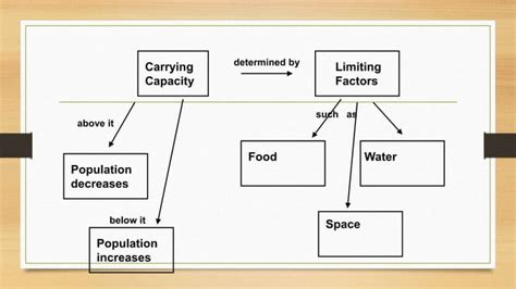 Image result for Carrying Capacity Example