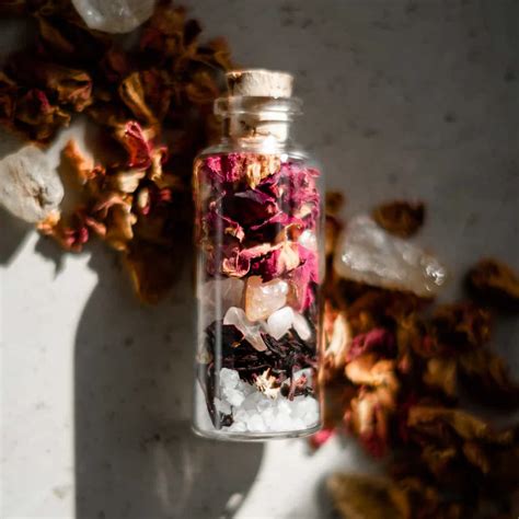 Shop By Brand | The Purple Pony