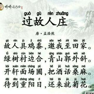 古诗过故人庄的意思