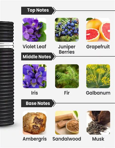 Rasasi Egra EDP 100ML For Men | All Arabic