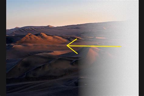 Image result for Gradient Transparency