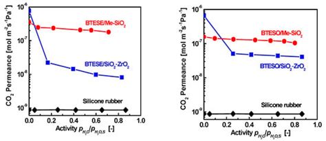 Organosilica-Based Membranes in Gas and Liquid-Phase Separation