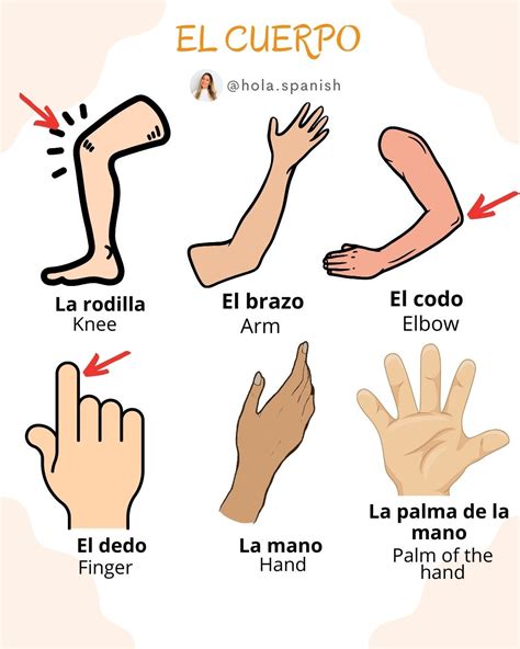 Brenda Romaniello | Online Spanish Teacher | Vocabulario del cuerpo ¿Ya ...