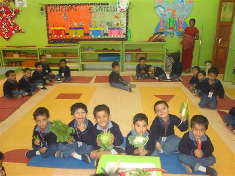 Activities done in Pre-Primary Department