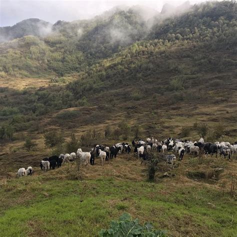 India’s newest ropeway opens in Sikkim with stunning views of Mount ...