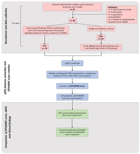 EPIAMNE: A New Scoring System for Differentiating Transient EPIleptic ...