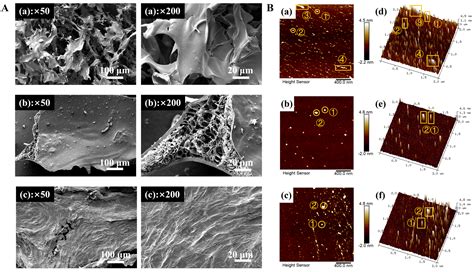 Polysaccharides from Exocarpium Citri Grandis: Graded Ethanol ...